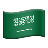 🇸🇦